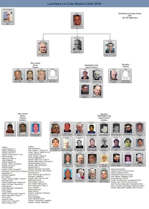 It is believed that after the passing of Gigante is 2005. . Lucchese crime family tree 1970s